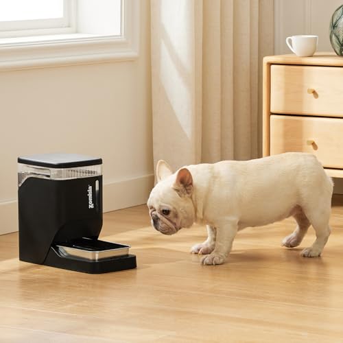 Automatic Dog Water Dispenser 6L with Stainless Steel Bowl
