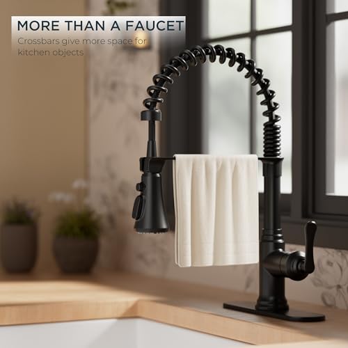 Rustic Black Kitchen Faucet with Pull Down Sprayer