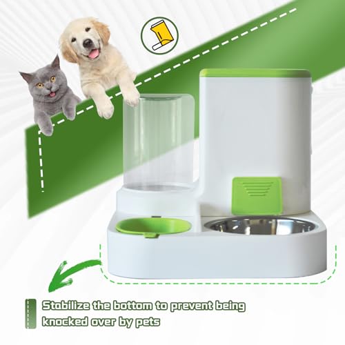 2 in 1 Automatic Cat Feeder & Water Dispenser