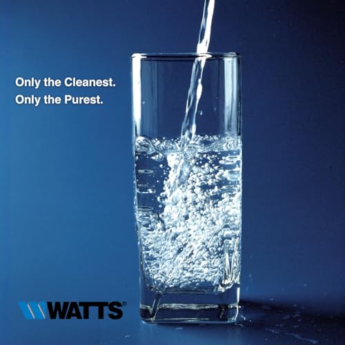 Watts Flow Pur GAC RV 10" Inline Filter 1