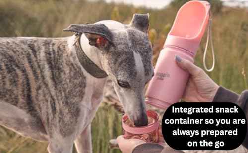 Stainless Steel Dog Travel Water Bottle (14 Fl Oz)