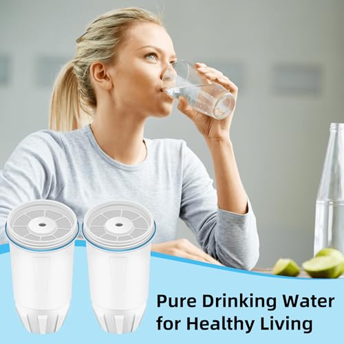 6 Pack Replacement Filter for Zero Water (6 Count)