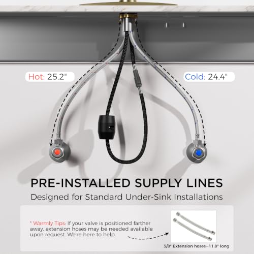 Kitchen Faucet with Pull Down Sprayer
