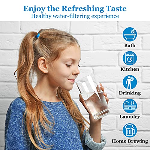 5 Stage 100 GPD RO Water Filter Set Replacement Fits APEC Reverse Osmosis