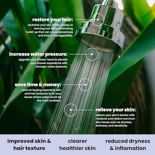 Filtered Shower Head