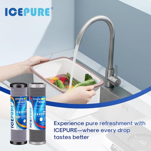 2.5"x 10" Whole House CTO Carbon Water Filter Combo Kit (2 Count)