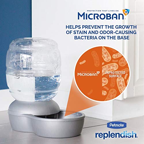 Mason Inspired Replendish Gravity Waterer