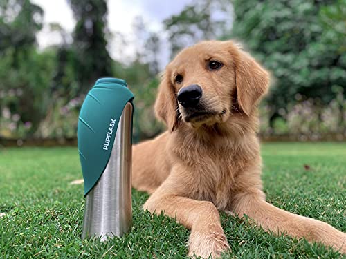 PupFlask Large Dog Water Bottle (40 Fl Oz)