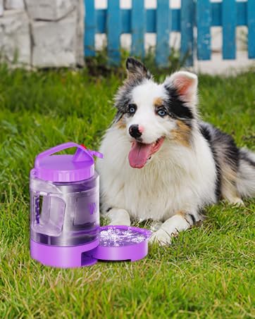 77oz Large Dog Water Bottle