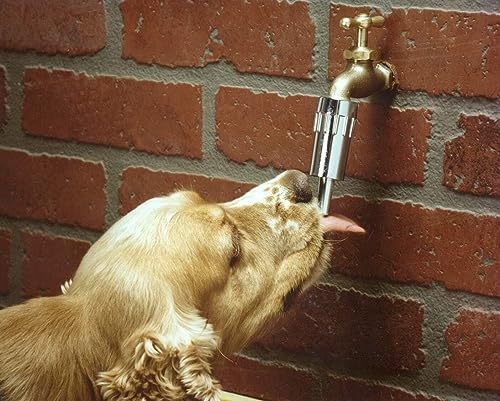 L100 Water Faucet Automatic Fountain for Dogs and Other Pets (4 Count)