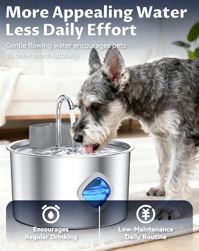 Water Bowl Cordless Dog Water Fountain with Faucet