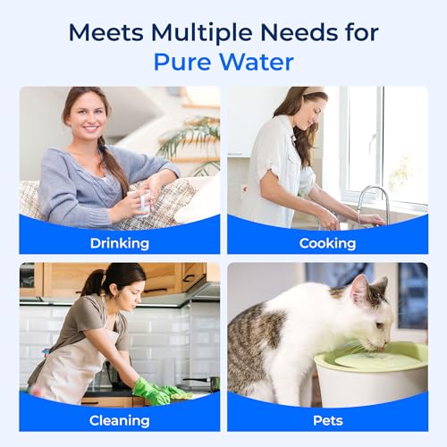 I2000 2 Water Filter Replacement for Pentair® Everpure