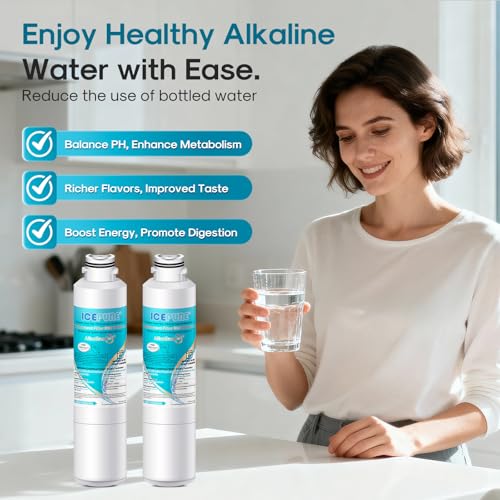 Alkaline DA29 (6 Count)