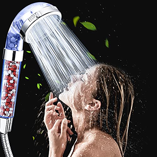 Shower Head with Hose and Bracket