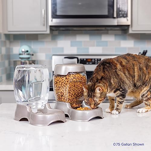 Pet Cafe Gravity Water Dispenser