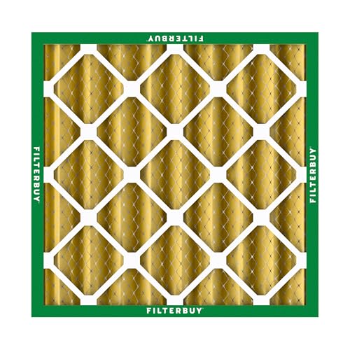 25x25x4 Air Filter MERV 11 Pet & Allergy Defense