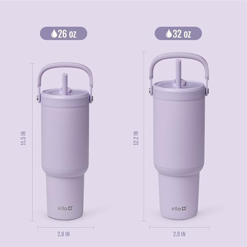 Oasis Go+ 26oz Insulated Stainless Steel Tumbler with Straw