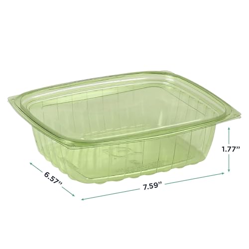 Compostable 24oz Rectangular Deli Containers With Lids (50 Count)