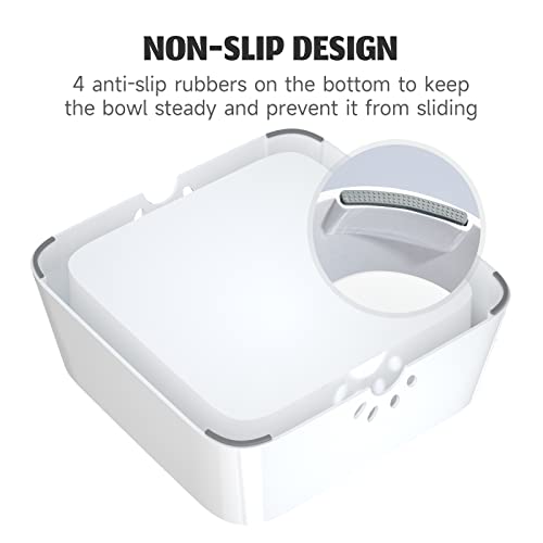 Dog Water Bowl 2L