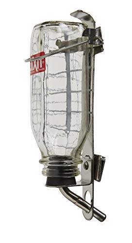 Pet Glass Water Bottle