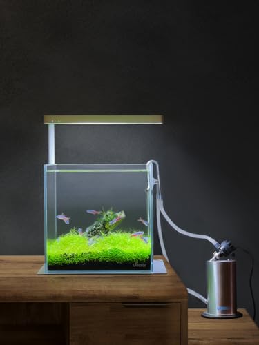 Aquarium External Stainless Steel Canister Filter Kit for 5Gal Tank