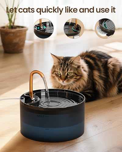 Cat Water Fountain with 9 (74 Ounce)