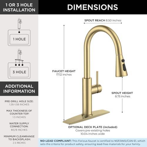 Kitchen Faucet with Pull Down Sprayer