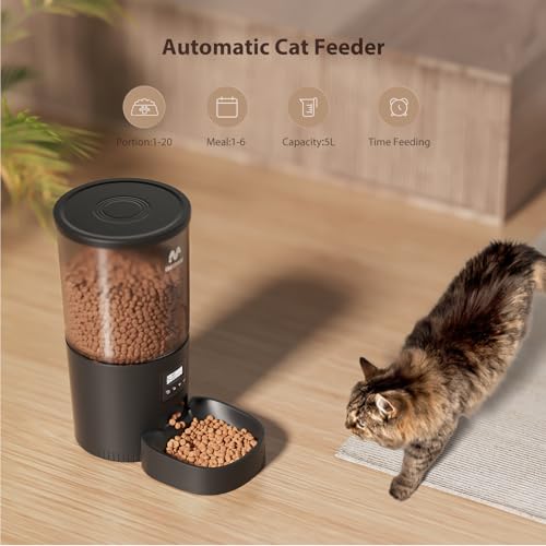 Automatic Cat Feeders
