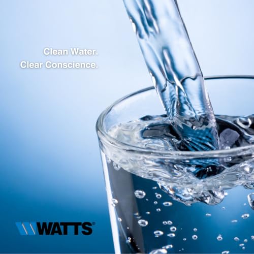 Watts Flow Pur 10" Carbon Block Filter POE12GHGACB 5 Micron Clean Liquid