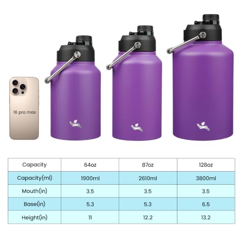 64 oz Insulated Stainless Steel Water Bottle Jug with Handle