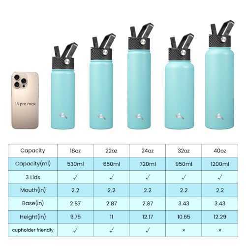 18 oz Insulated Stainless Steel Water Bottle with Straw Lid