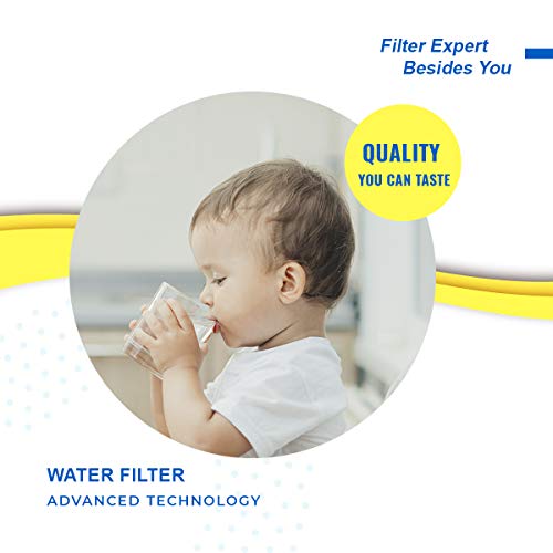 RWF6100A Refrigerator Water Filter Replacement For Bosch Ultra Clarity Pro BORPLFTR50 (3 Count)
