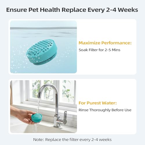Glass Cat and Dog Water Fountain 90oz (8 Count)