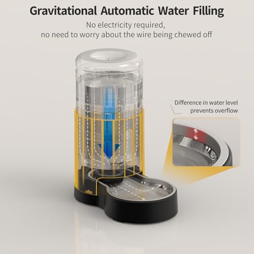 Cat Water Dispenser with Stainless Steel Bowl