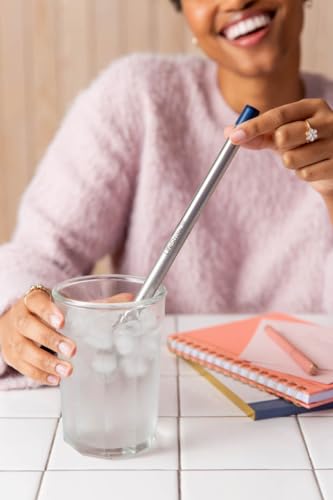 Sip Reusable Stainless Steel Water Filter Drinking Straw with 3 Carry Cases (3 Count)