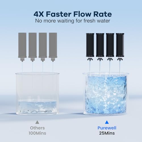 3.5G Family Sized Gravity Water Filter System