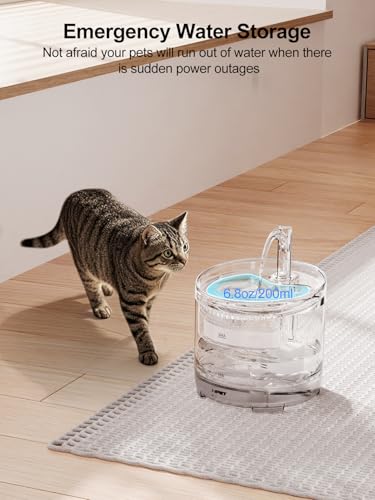 Cat Water Fountain WF050TP 1.5L Automatic Pet Drinking Fountain (50 Fl Oz)