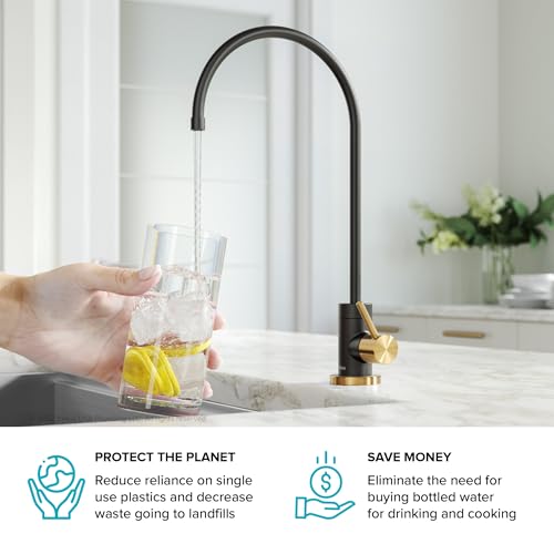 Purita™ Single Handle Drinking Water Filter Faucet for Reverse Osmosis or Water Filtration System in Brushed Brass