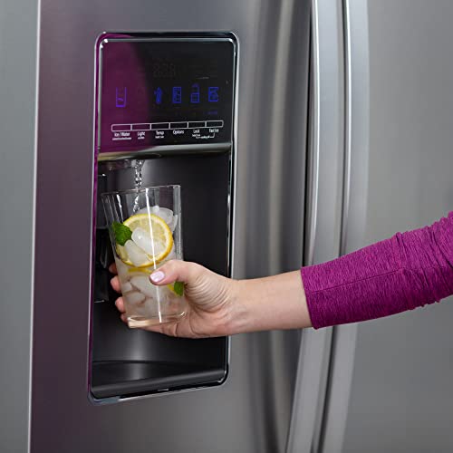 Refrigerator Ice and Water Filter 4