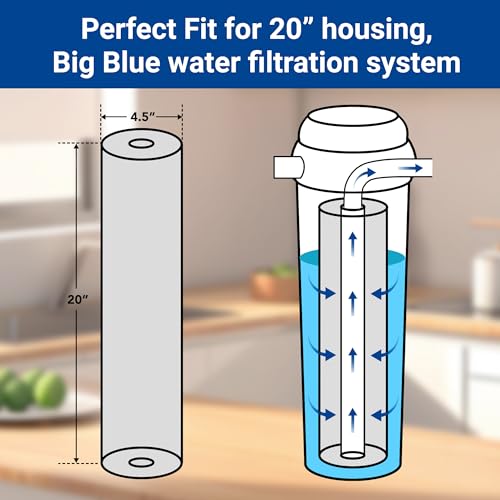 Replacement Filter Cartridges Set (2 Count)