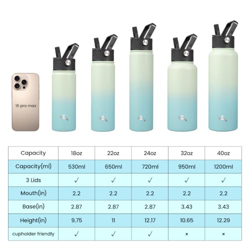 32 oz Insulated Stainless Steel Water Bottle with Straw Lid