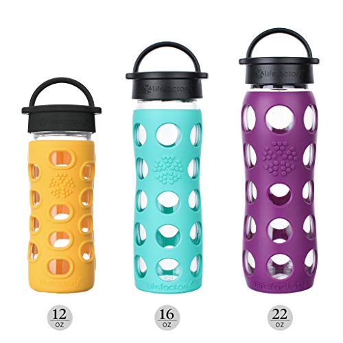 16-Ounce BPA-Free Glass Water Bottle with Classic Cap and Protective Silicone Sleeve, Desert Rose