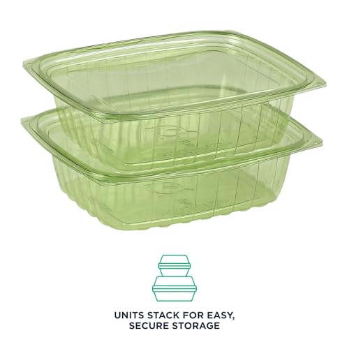 Compostable 24oz Rectangular Deli Containers With Lids (50 Count)