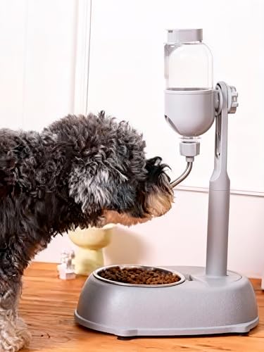 Pet Water Dispenser