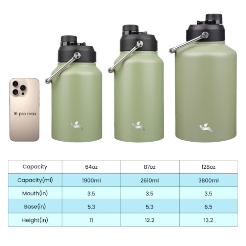 87 oz Insulated Stainless Steel Water Bottle Jug with Handle