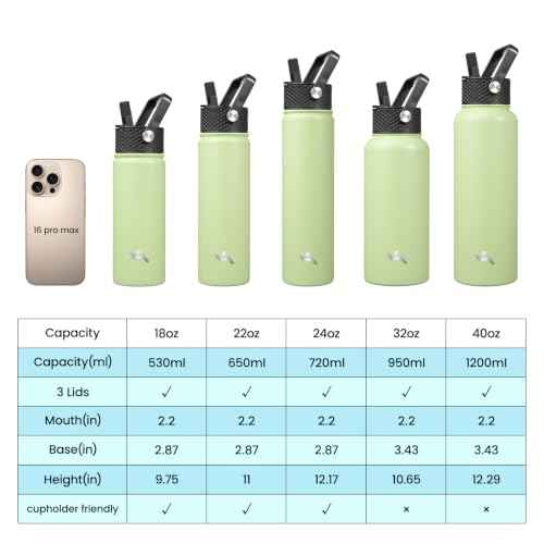 40 oz Insulated Stainless Steel Water Bottle with Straw Lid