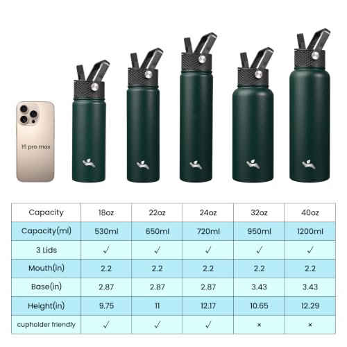 32 oz Insulated Stainless Steel Water Bottle with Straw Lid