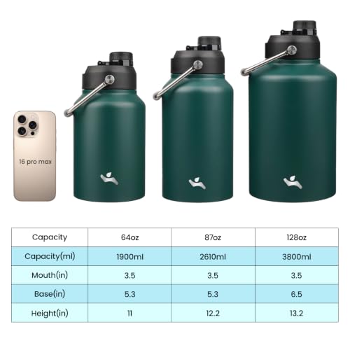 64 oz Insulated Stainless Steel Water Bottle Jug with Handle