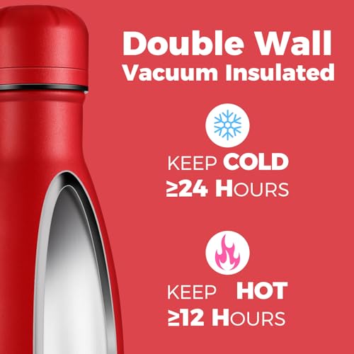 17oz Insulated Stainless Steel Water Bottle