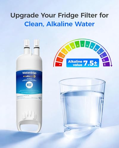 W10295370A Refrigerator Water Filter (3 Count)